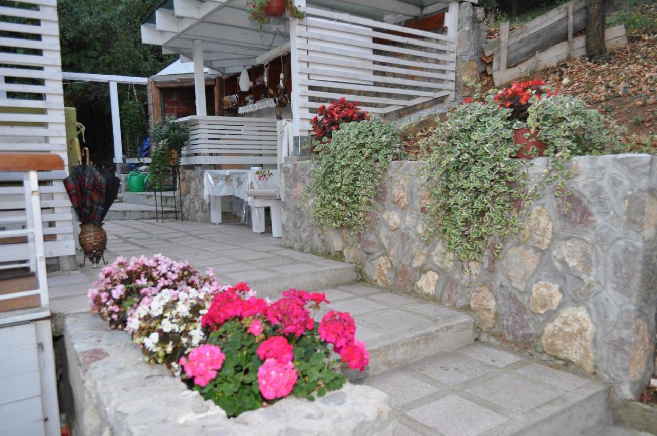 Studio Apartmani Pergolo Centar Soko Banja Εξωτερικό φωτογραφία